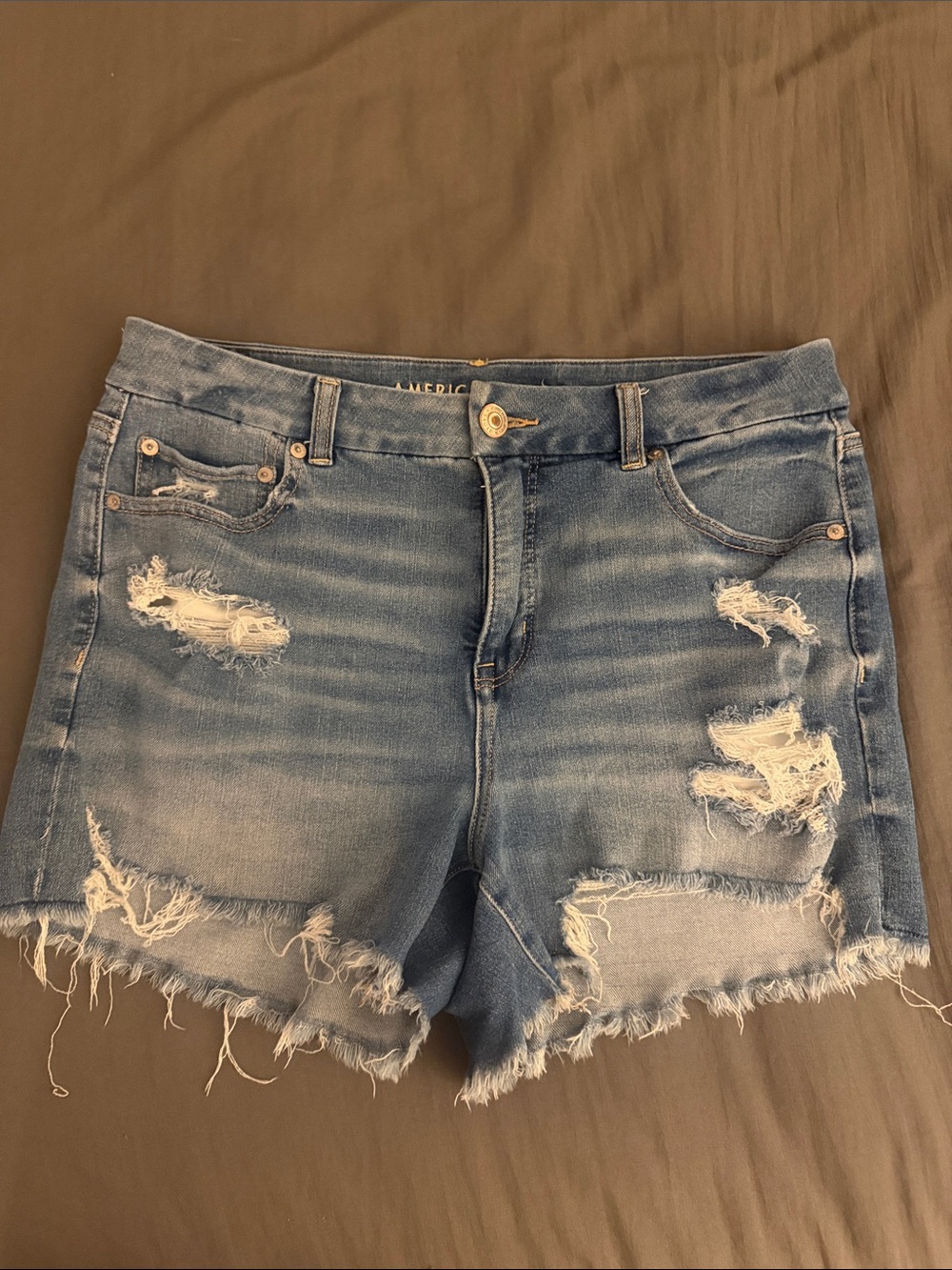 American Eagle Outfitters Light Wash Distressed Denim Shorts